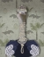 Picture of OSTRICH AND PEARLS, PORTRAIT
