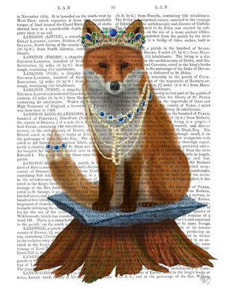 Picture of FOX WITH TIARA, FULL