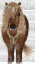 Picture of HORSE BROWN PONY WITH BELLS, FULL
