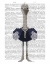 Picture of OSTRICH AND PEARLS, FULL