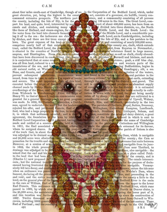 Picture of YELLOW LABRADOR AND TIARA, PORTRAIT