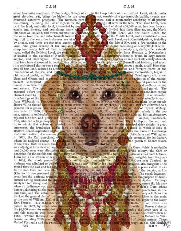 Picture of YELLOW LABRADOR AND TIARA, PORTRAIT