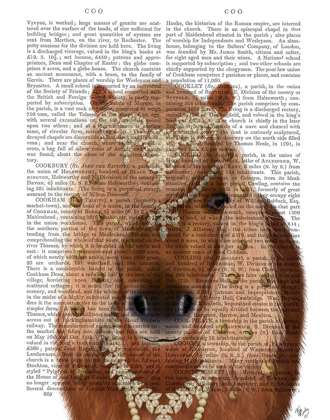Picture of HORSE BROWN PONY WITH BELLS, PORTRAIT