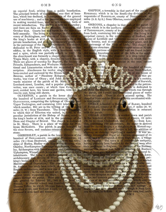 Picture of RABBIT AND PEARLS, PORTRAIT
