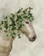 Picture of HORSE PORCELAIN WITH IVY