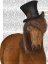 Picture of HORSE TOP HAT AND MONOCLE