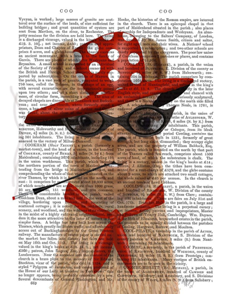 Picture of FABULOUS LLAMA