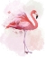 Picture of FLUFFY FLAMINGO 2