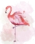 Picture of FLUFFY FLAMINGO 4