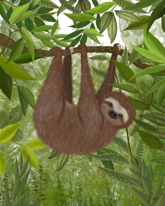 Picture of SLOTH HANGING AROUND