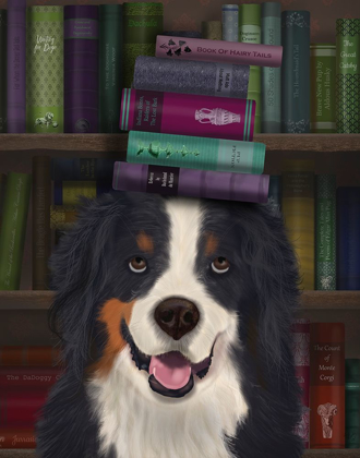 Picture of BERNESE AND BOOKS