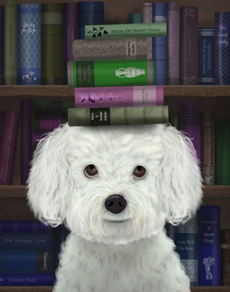 Picture of BICHON FRISE AND BOOKS