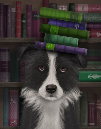 Picture of BORDER COLLIE, BLACK AND WHITE, AND BOOKS