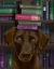 Picture of BROWN LABRADOR AND BOOKS