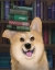 Picture of CORGI AND BOOKS