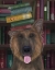 Picture of GERMAN SHEPHERD AND BOOKS