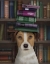 Picture of JACK RUSSELL AND BOOKS