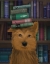 Picture of YORKSHIRE TERRIER AND BOOKS