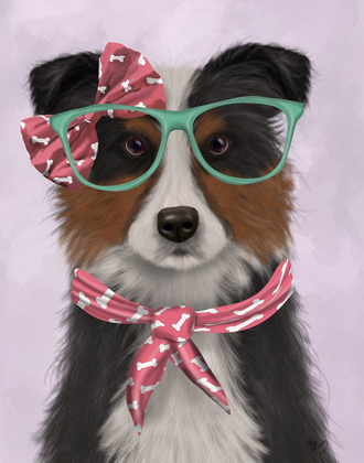 Picture of BORDER COLLIE, TRICOLOUR, WITH GLASSES AND SCARF