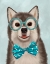Picture of HUSKY WITH GLASSES AND BOW TIE