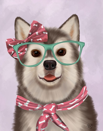 Picture of HUSKY WITH GLASSES AND SCARF