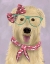 Picture of WHEATEN TERRIER WITH GLASSES AND SCARF