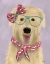 Picture of WHEATEN TERRIER WITH GLASSES AND SCARF