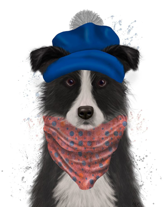 Picture of BORDER COLLIE IN BLUE BOBBLE HAT