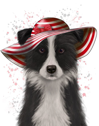 Picture of BORDER COLLIE IN RED AND WHITE FLOPPY HAT