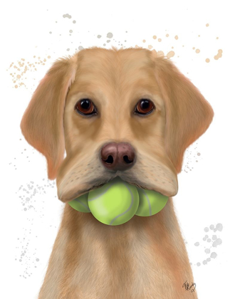 Picture of YELLOW LABRADOR AND TENNIS BALLS