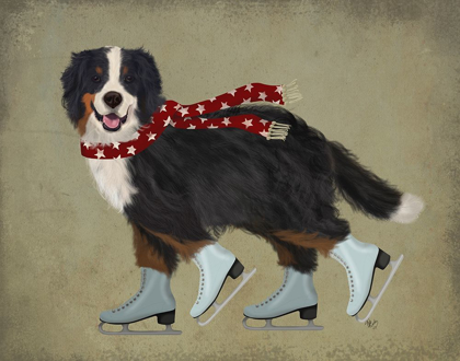 Picture of BERNESE SKATER