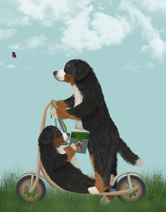 Picture of BERNESE SCOOTER