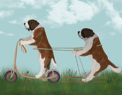 Picture of STBERNARD SCOOTER