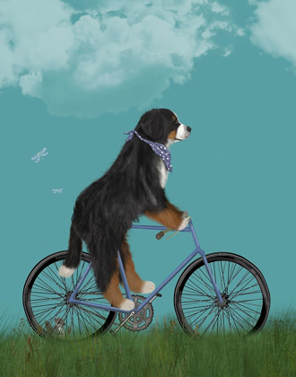 Picture of BERNESE ON BICYCLE - SKY