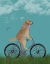 Picture of GOLDEN RETRIEVER BICYCLE