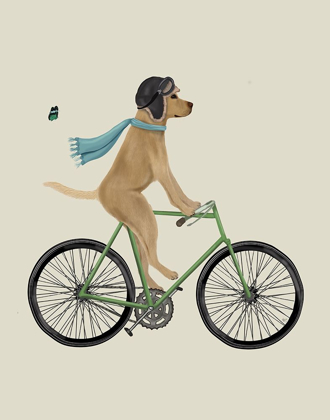 Picture of YELLOW LABRADOR IN FLYING HELMET ON BICYCLE