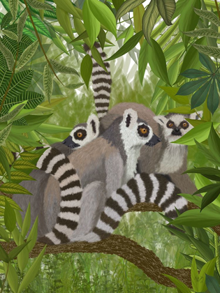 Picture of LEMUR FAMILY IN CANOPY