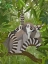 Picture of LEMUR FAMILY IN CANOPY