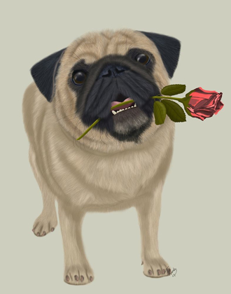 Picture of PUG AND ROSE