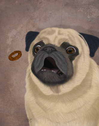 Picture of PUG, CATCH 1