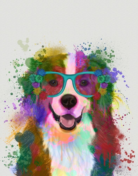 Picture of BERNESE RAINBOW SPLASH