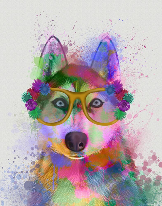 Picture of HUSKY RAINBOW SPLASH