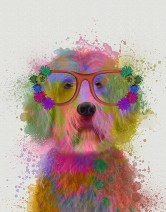 Picture of LABRADOODLE RAINBOW SPLASH