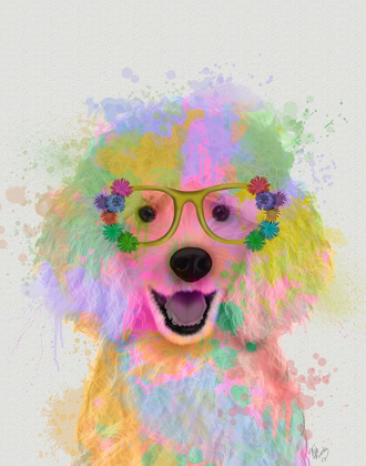 Picture of POODLE RAINBOW SPLASH