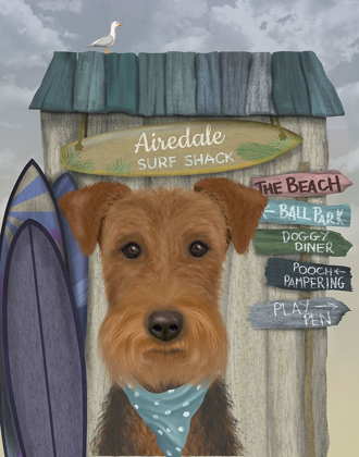 Picture of AIREDALE SURF SHACK