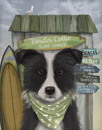 Picture of BORDER COLLIE, BLACK AND WHITE, SURF SHACK