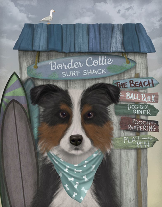 Picture of BORDER COLLIE, TRICOLOUR, SURF SHACK