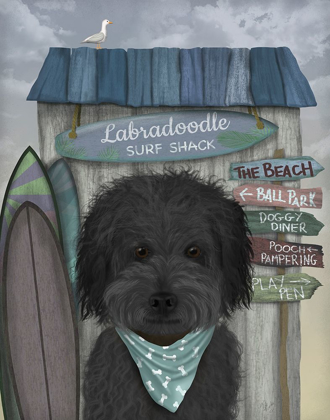 Picture of LABRADOODLE, BLACK, SURF SHACK