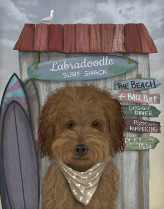 Picture of LABRADOODLE, BROWN, SURF SHACK