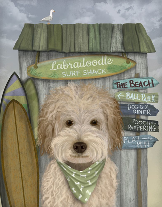 Picture of LABRADOODLE, CREAM, SURF SHACK